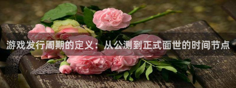 亿万28官网解绑银行卡怎么操作：游戏发行周期的定义：从公测到正式面世的时间节点