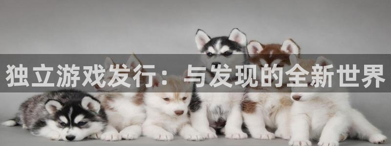 亿万28官网注册方法是什么软件：独立游戏发行：与发现的全新世界