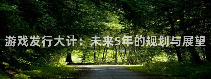 亿万28好还是红狮好：游戏发行大计：未来5年的规划与展望