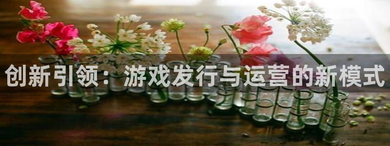 亿万28官网登录注册账号密码：创新引领：游戏发行与运营的新模式