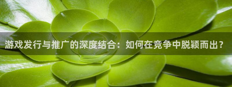 亿万28官网注册平台官网：游戏发行与推广的深度结合：如何在竞争中脱颖而出？