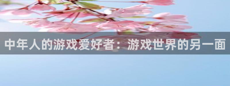 亿万28电子商务有限公司怎么样啊：中年人的游戏爱好者：游戏世界的另一面
