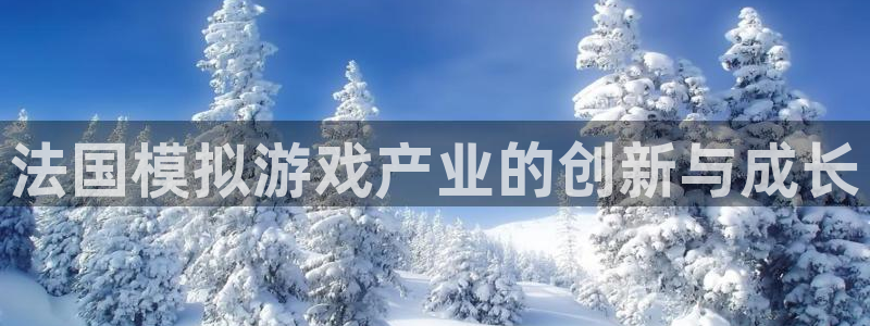 亿万28官网注册方法：法国模拟游戏产业的创新与成长