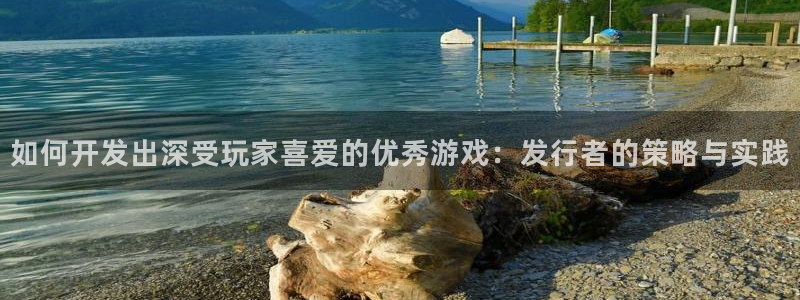 亿万28官网注册平台登录不了：如何开发出深受玩家喜爱的优秀游戏：发行者的策略与实践
