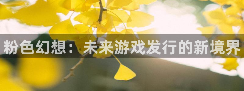 亿万28官网登录注册账号是什么意思：粉色幻想：未来游戏发行的新境界