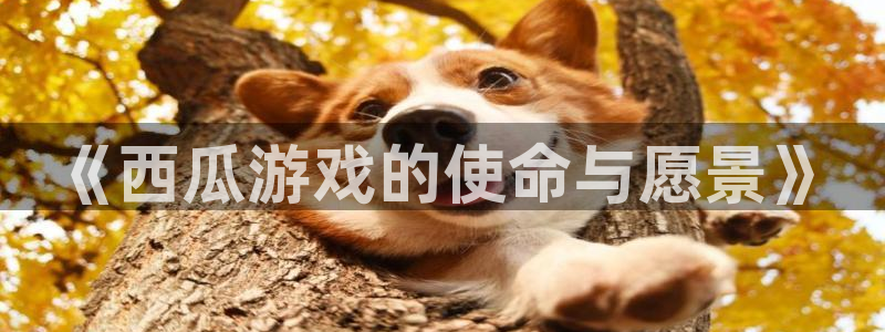 佛山亿万28：《西瓜游戏的使命与愿景》